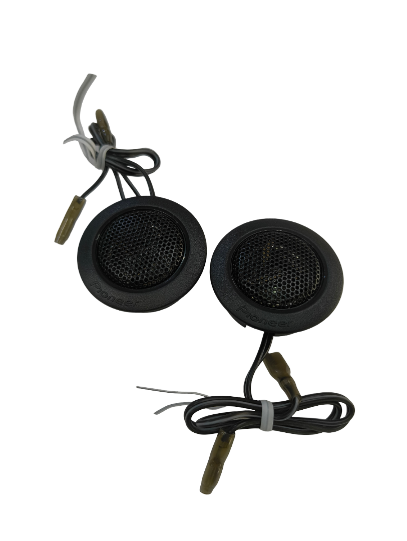 Pioneer Ts-1602in