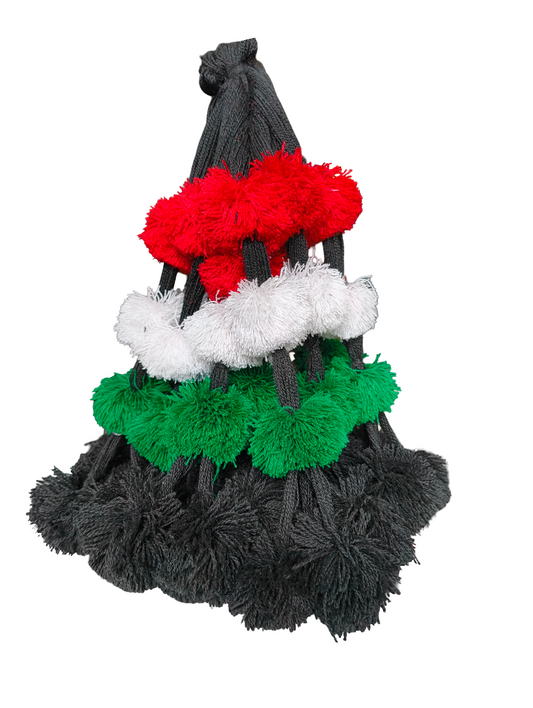 Tiranga Prandi